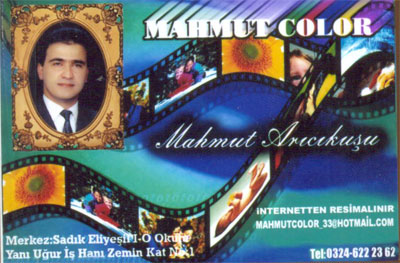 MAHMUT COLOR 