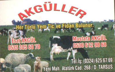 AKGÜLLER