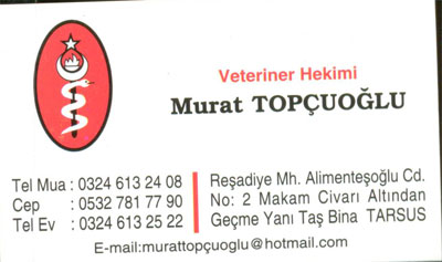 veteriner hekim