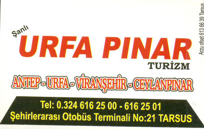 ŞANLIURFA PINAR 
