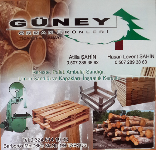 Güney Orman Ürünleri