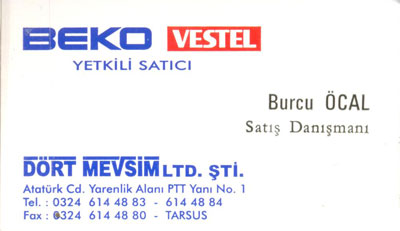 DÖRT MEVSİM