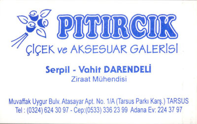 PITIRCIK