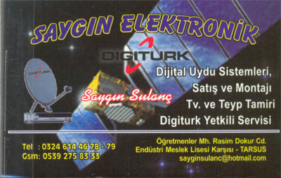 SAYIN ELEKTRONİK