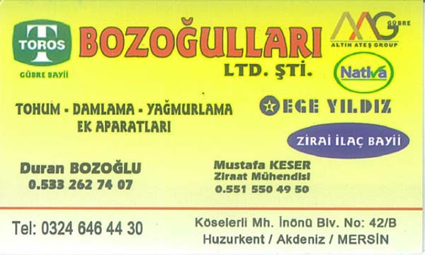 BOZOĞULLARI