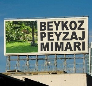 Beykoz Peyzaj