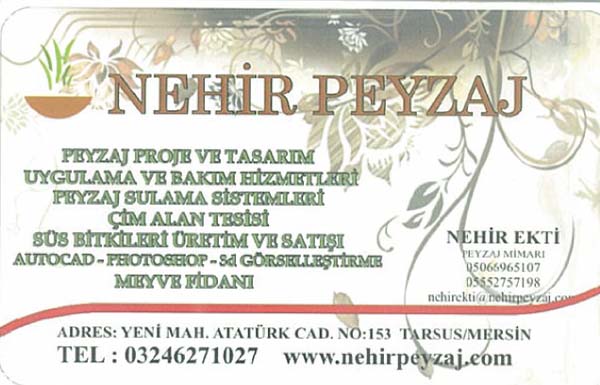 Nehir Peyzaj