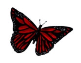 Papillon Design